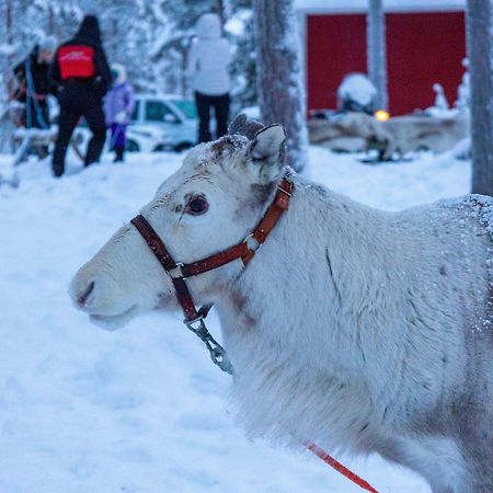 Skyfire Village Igloos Rovaniemi Zewnętrze zdjęcie
