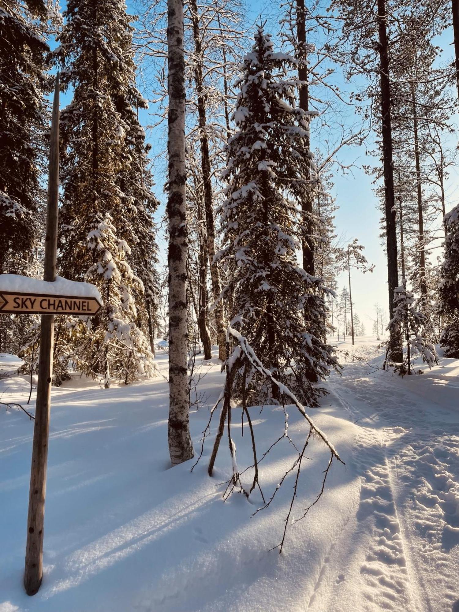 Skyfire Village Igloos Rovaniemi Zewnętrze zdjęcie