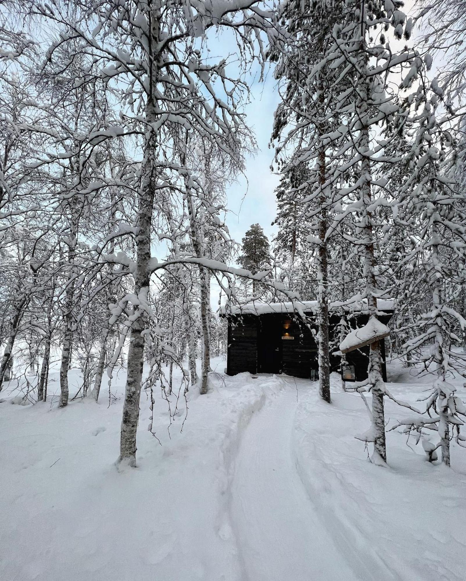 Skyfire Village Igloos Rovaniemi Zewnętrze zdjęcie