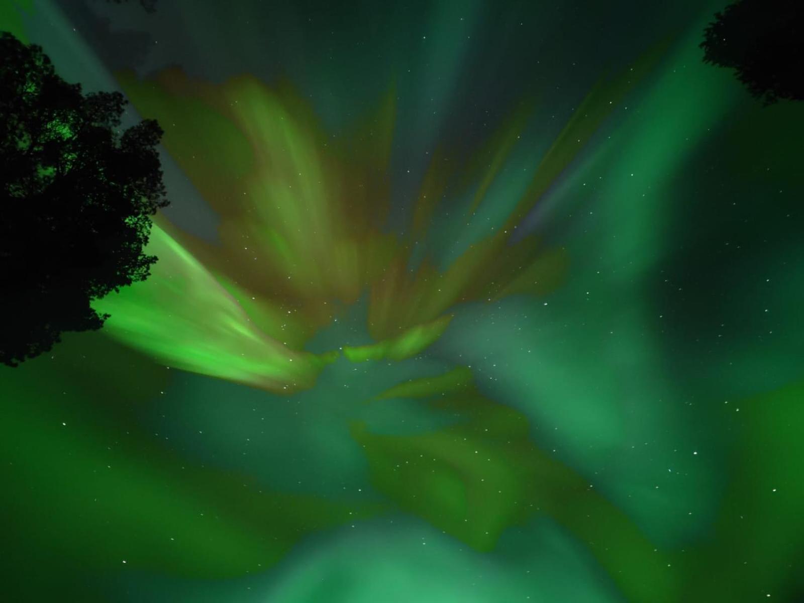 Skyfire Village Igloos Rovaniemi Zewnętrze zdjęcie